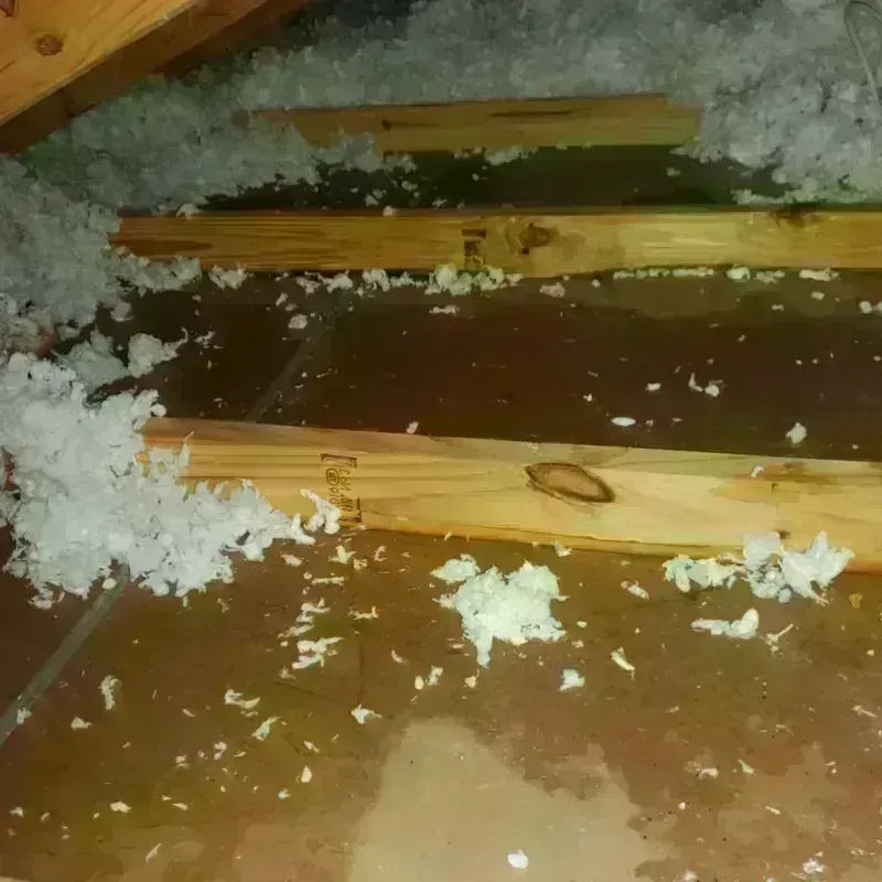 Attic Water Damage in Glenview, IL