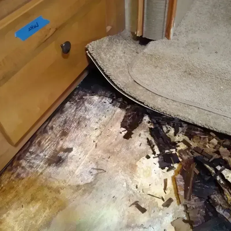 Wood Floor Water Damage in Glenview, IL